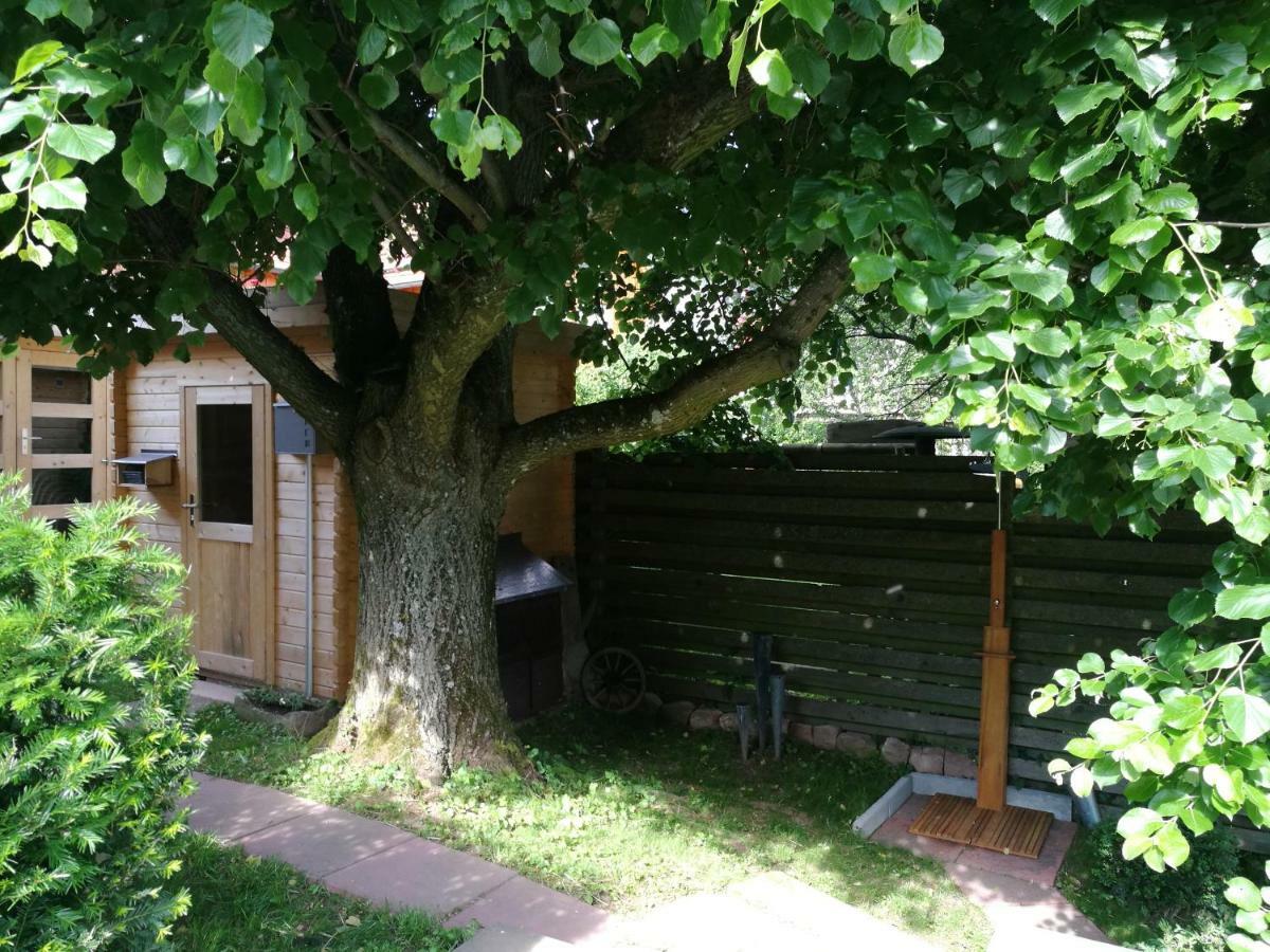 Ferienhaus Glucksmoment Grasellenbach 外观 照片